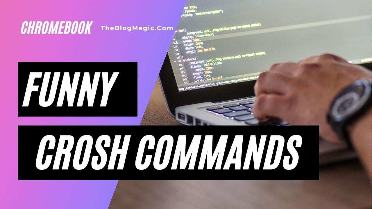 17-crosh-command-for-fun-crosh-commands-funny-nov-2023